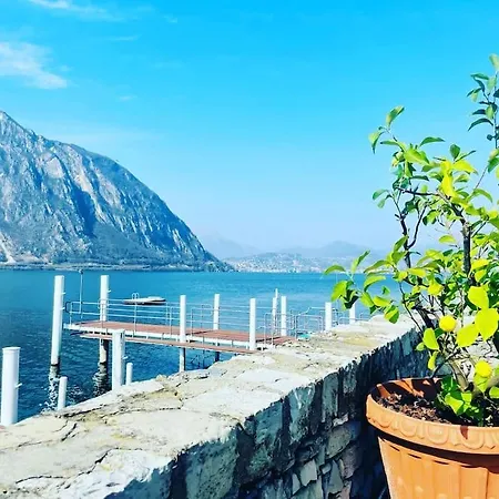 Apartment Palm Loft Bissone
