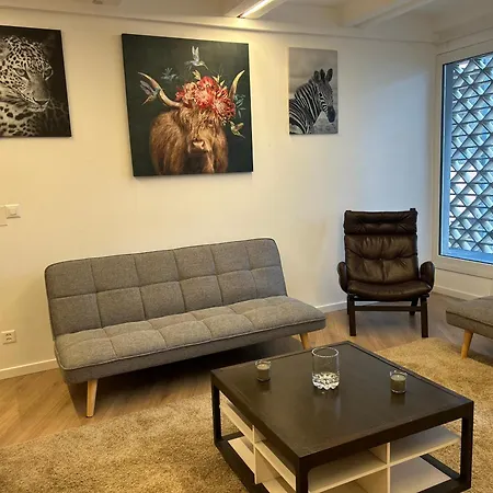 Palm Loft Apartment Bissone